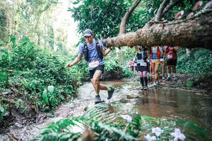 BIB: 
                            <button type="button" onclick="openModal(25474058)" class="btn btn-primary btn-sm float-right btn-popup" data-toggle="modal" data-target=".modal-high-quality">
                        <i class="fas fa-shopping-cart"></i> Add to Cart
                    </button>
                                            <button type="button" onclick="isThisMe(25474058, true)" class="btn btn-success btn-sm float-right btn-popup btn-isme hidden" data-toggle="tooltip" data-placement="bottom" title="นี่คือรูปของคุณใช่ไหม คลิกที่นี่เพื่อเอาเข้าอัลบั้ม">
                        <i class="fas fa-plus"></i> Add to album
                    </button>
                    <button type="button" onclick="isThisMe(25474058, false)" class="btn btn-warning btn-sm float-right btn-popup btn-isnotme hidden">
                        <i class="fas fa-ban"></i> Remove from album
                    </button>